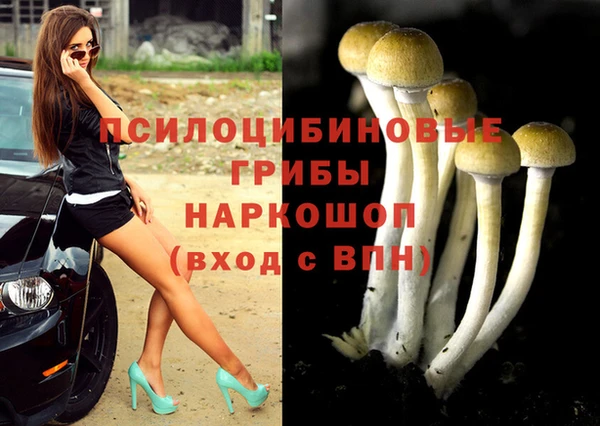 твердый Алексин