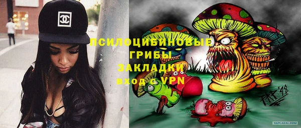 твердый Алексин