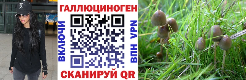 Псилоцибиновые грибы MAGIC MUSHROOMS  Боровск 